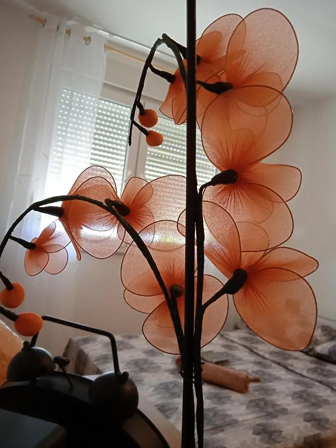 Adria - Studio Apartman Fiume Horvátország